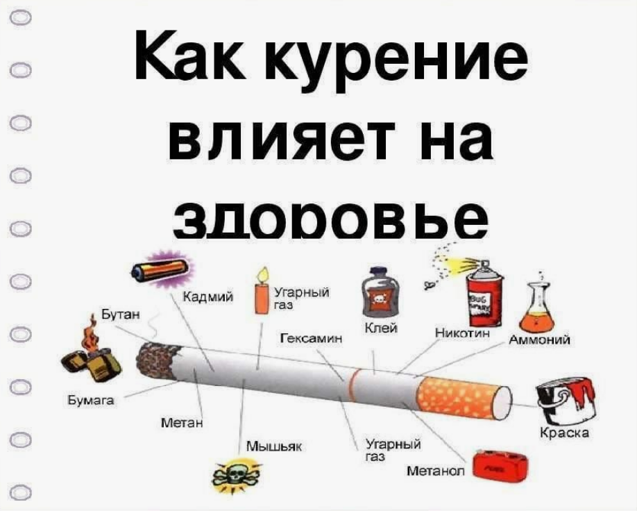 ΠΠ»ΠΈΡΠ½ΠΈΠ΅ ΠΊΡΡΠ΅Π½ΠΈΡ Π½Π° ΠΎΡΠ³Π°Π½ΠΈΠ·ΠΌ ΡΠ΅Π»ΠΎΠ²Π΅ΠΊΠ°: ΡΠ°ΠΊ Π»Π΅Π³ΠΊΠΈΡ
, ΠΈΠ½ΡΠ°ΡΠΊΡ, ΠΈΠ½ΡΡΠ»ΡΡ, ΡΠ·Π²Π°, ΠΈΠΌΠΏΠΎΡΠ΅Π½ΡΠΈΡ.
